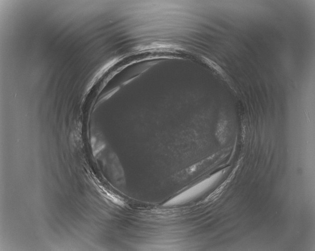 X0000060791066200512011700