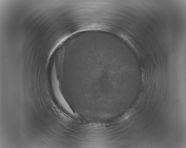 X0000060791069200512011700