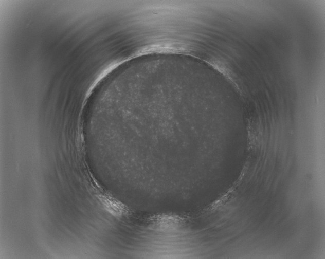 X0000060791070200512011700