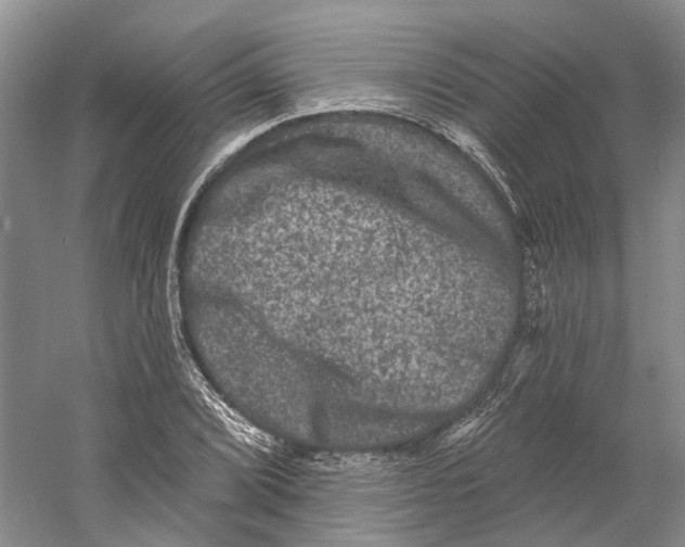 X0000060791072200512011700