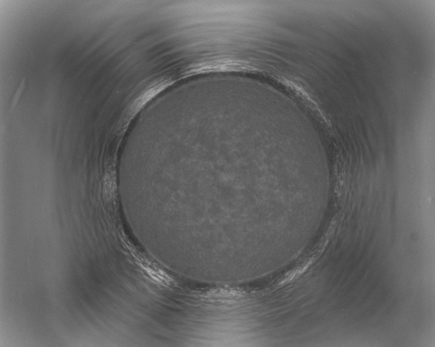 X0000060791073200512011659