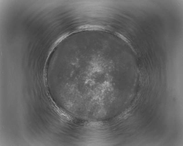 X0000060791074200512011659