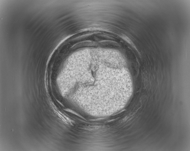 X0000060791076200512011659