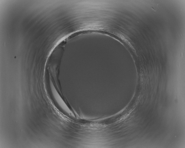 X0000060791077200512011659