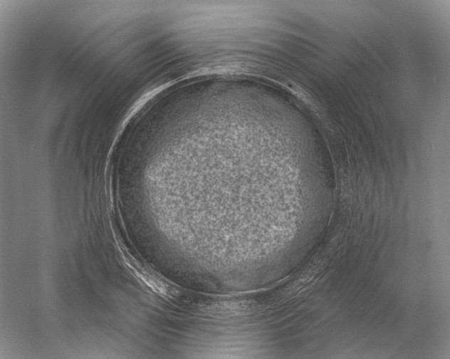 X0000060791078200512011659