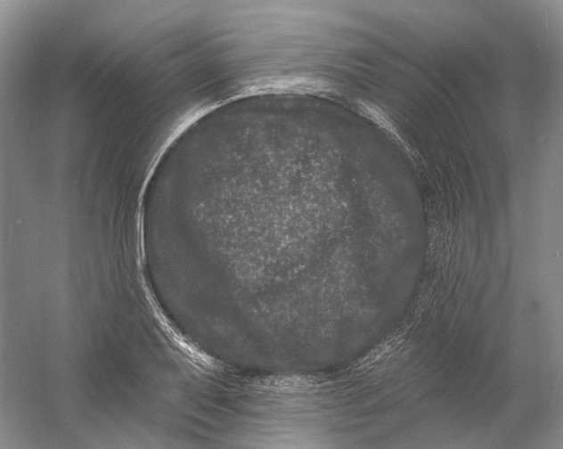 X0000060791079200512011659