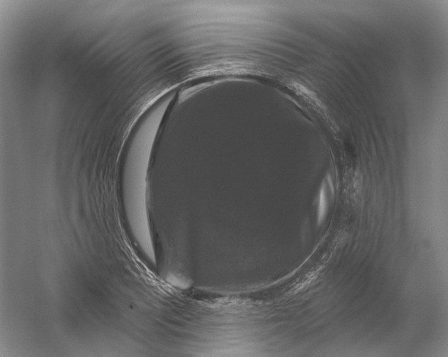 X0000060791081200512011659