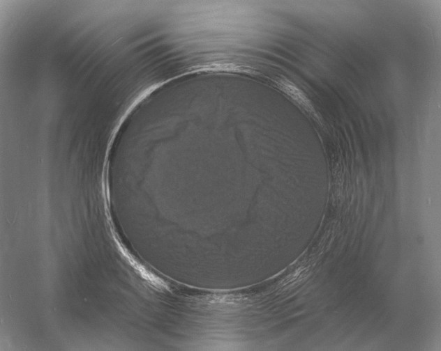 X0000060791084200512011659