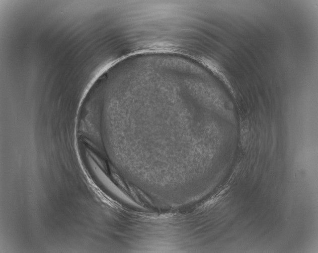 X0000060791085200512011659