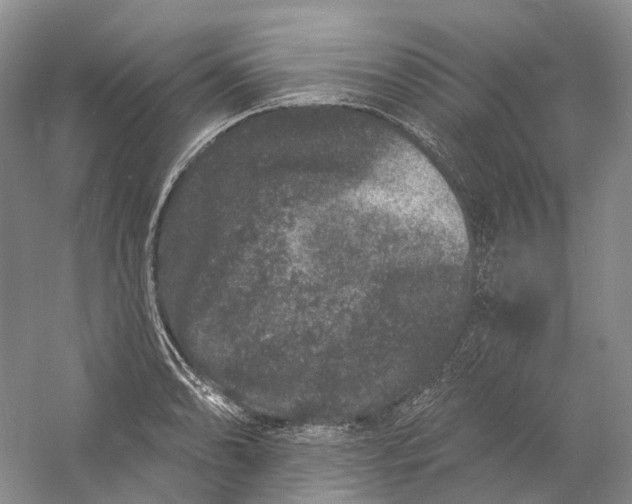 X0000060791086200512011659