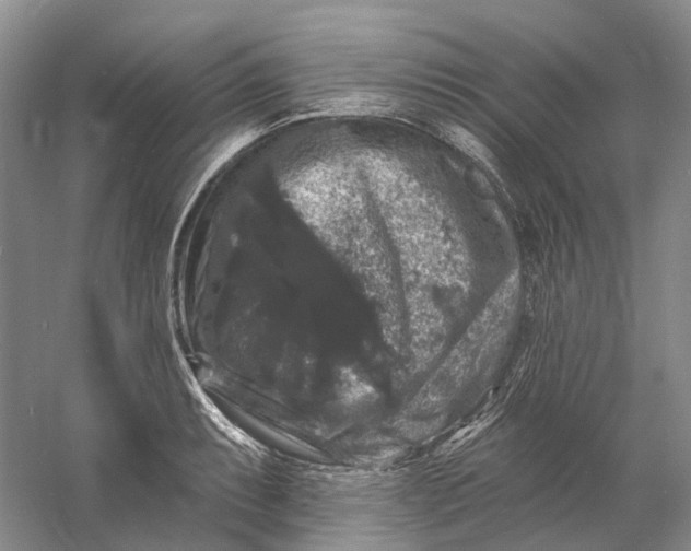 X0000060791087200512011659