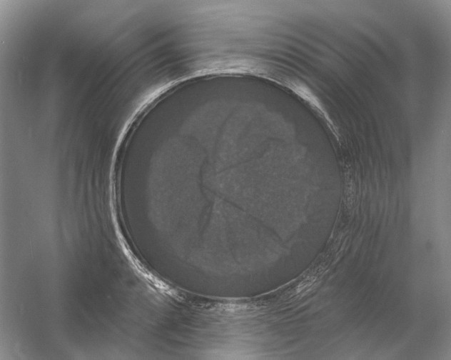 X0000060791088200512011659