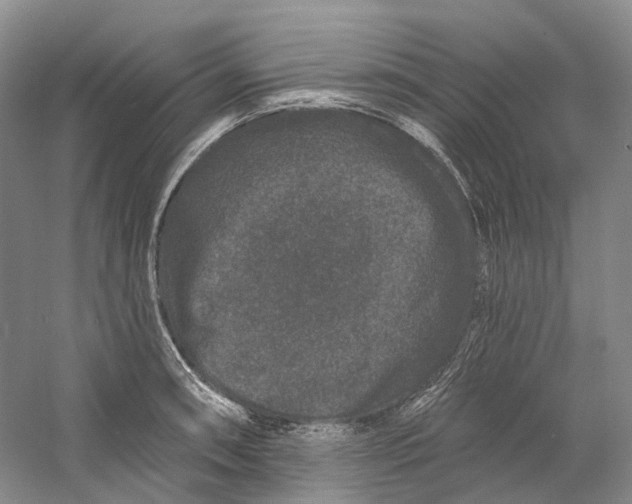 X0000060791090200512011659