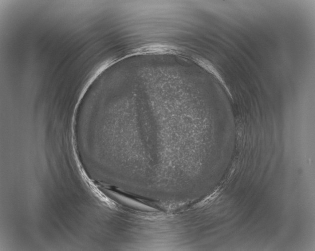 X0000060791091200512011659