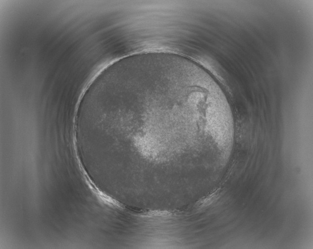 X0000060791094200512011659