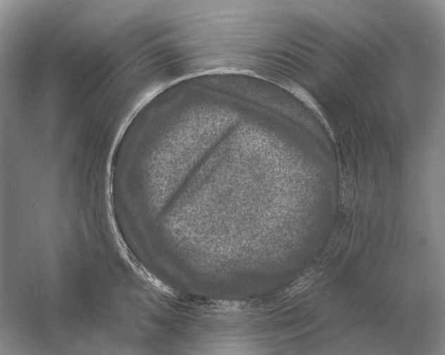 X0000060791096200512011659