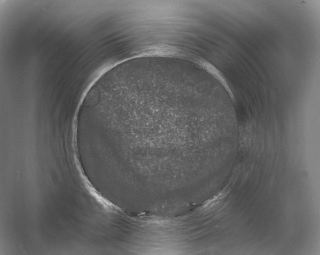 X0000060791099200512011659