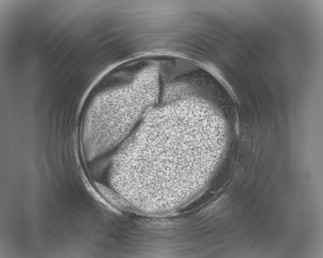 X0000060791100200512011659