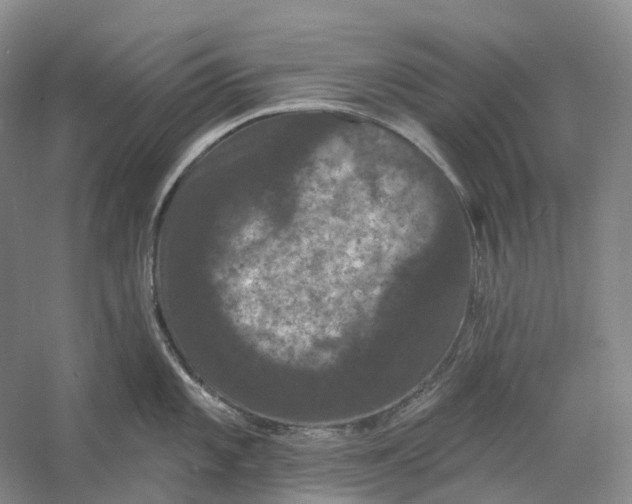 X0000060791101200512011659