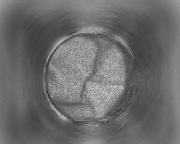 X0000060791103200512011659