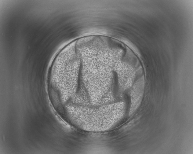 X0000060791104200512011659