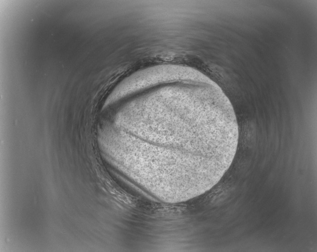 X0000060791105200512011658