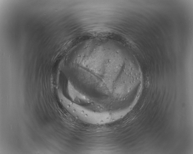 X0000060791108200512011658