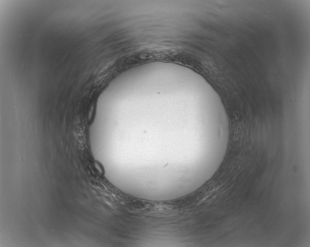 X0000060791109200512011658