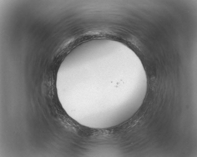 X0000060791111200512011658