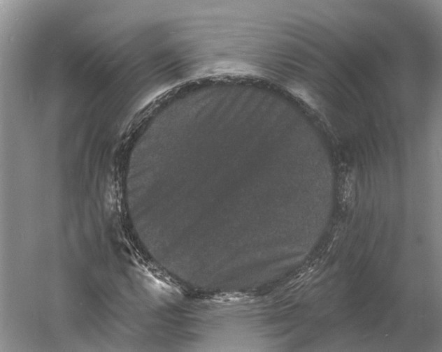 X0000060791112200512011658