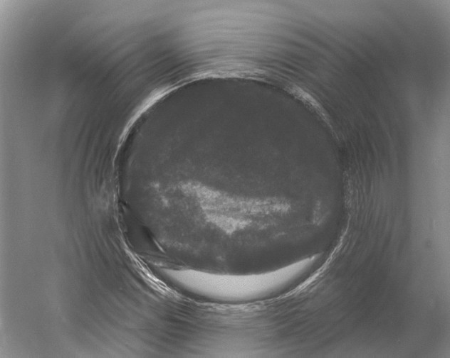 X0000060791114200512011658