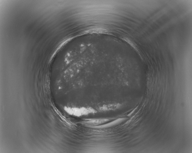 X0000060791115200512011658