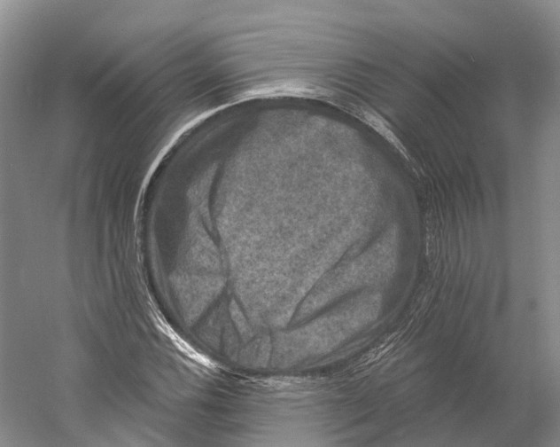 X0000060791116200512011658