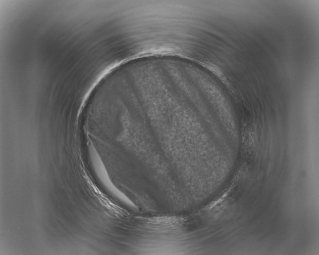 X0000060791118200512011658