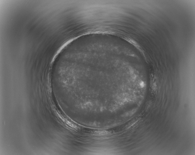 X0000060791120200512011658