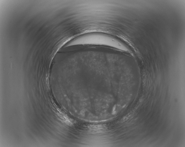 X0000060791121200512011658