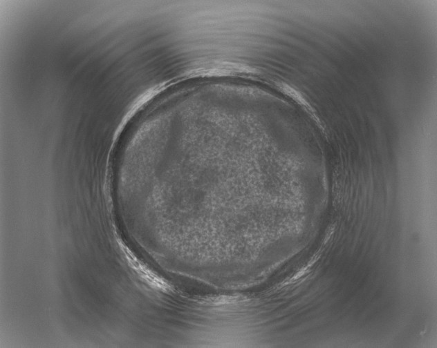 X0000060791122200512011658