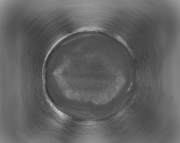 X0000060791124200512011658