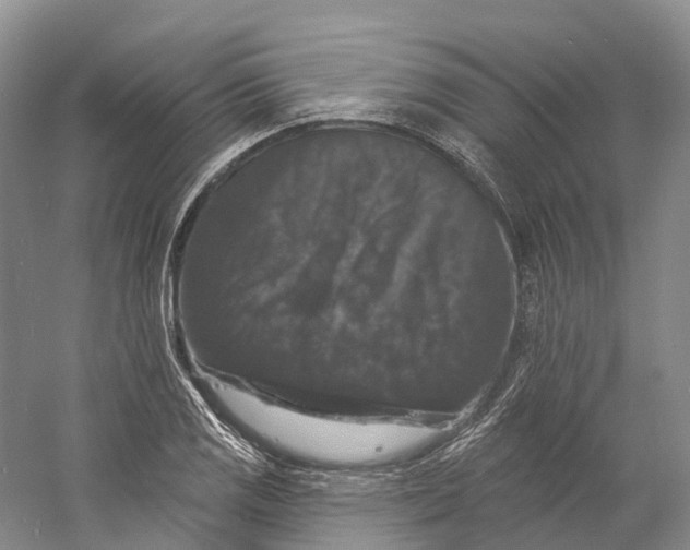 X0000060791125200512011658