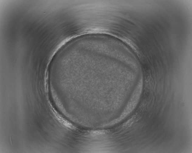 X0000060791126200512011658