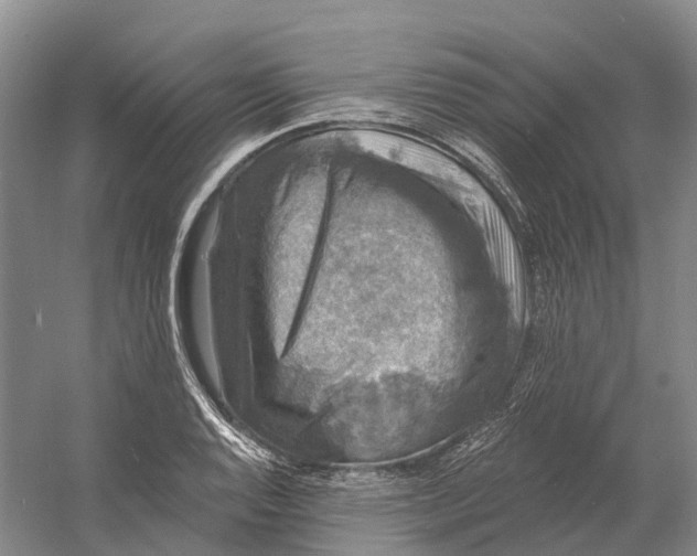 X0000060791128200512011658