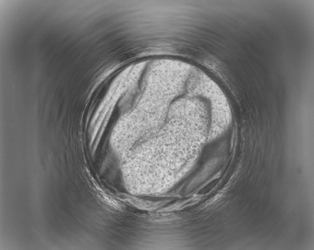 X0000060791129200512011659