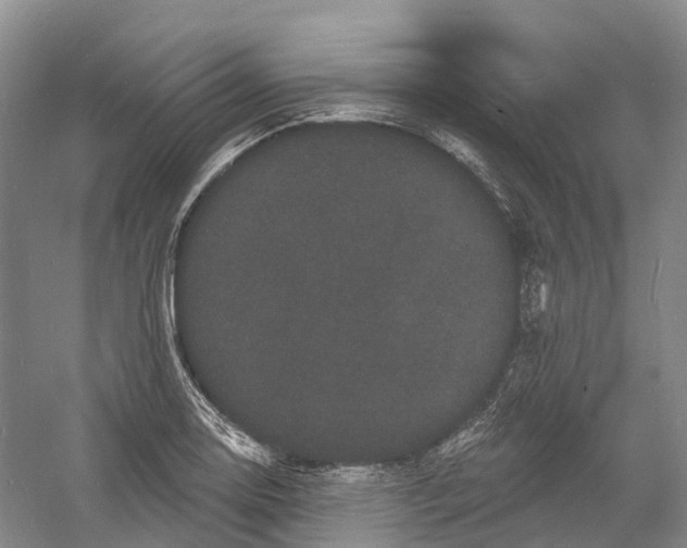 X0000060791130200512011659