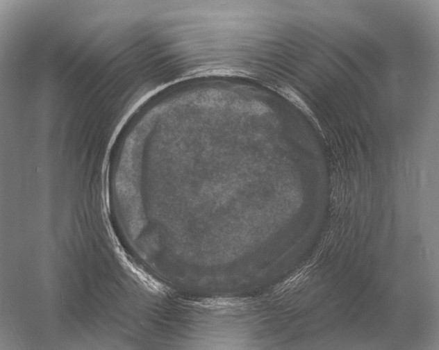 X0000060791132200512011659