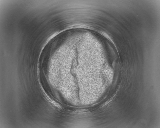 X0000060791133200512011659