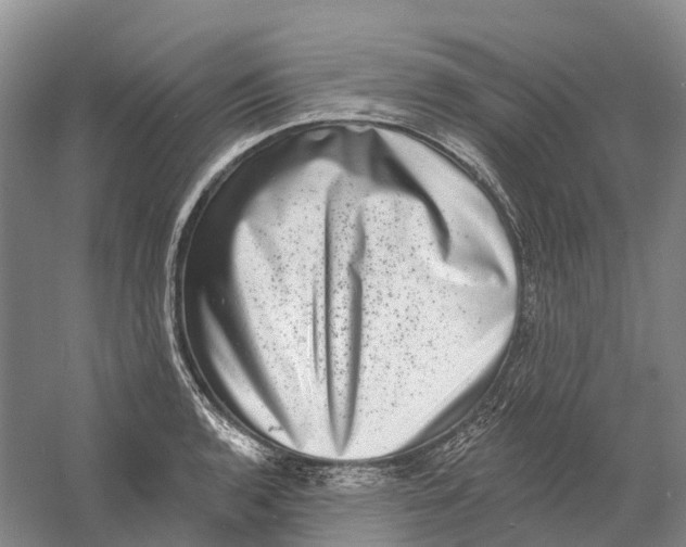 X0000060791136200512011659