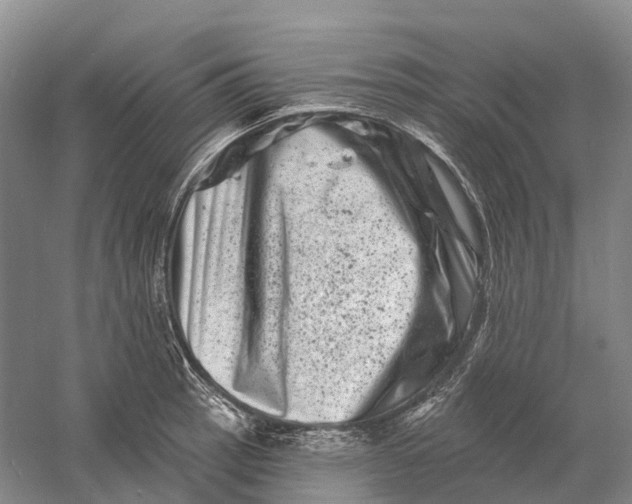 X0000060791137200512011659