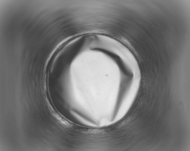 X0000060791140200512011659