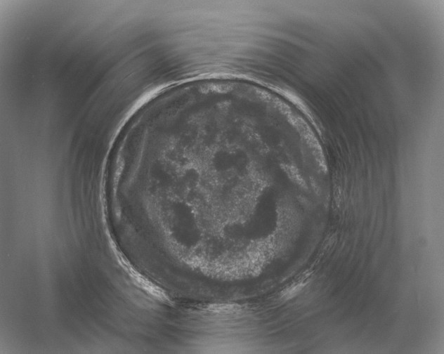 X0000060791142200512011659