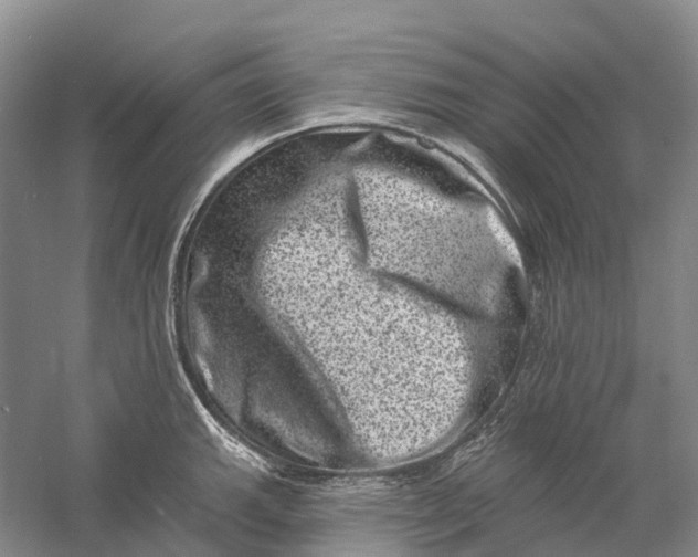 X0000060791143200512011659